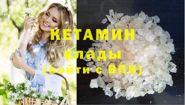 шишки Горно-Алтайск