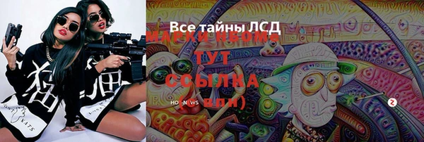 шишки Горно-Алтайск