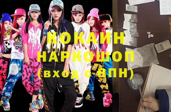 шишки Горно-Алтайск
