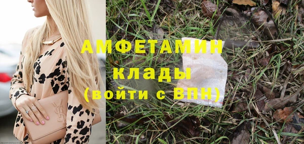 шишки Горно-Алтайск