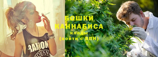 шишки Горно-Алтайск