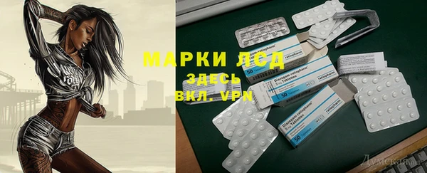 шишки Горно-Алтайск