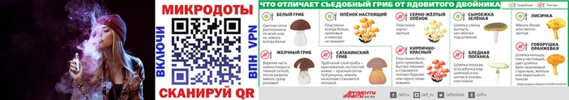 Купить закладки  Кедровый  Псилоцибиновые грибы мицелий 
